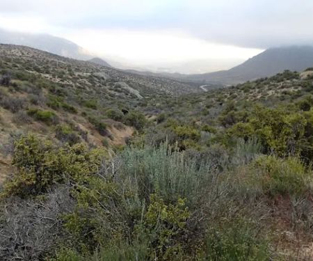 Walker Pass Campground