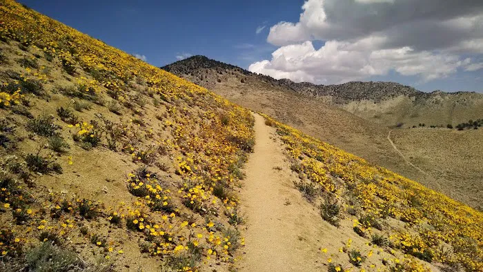 Walker Pass Campground Picture 8