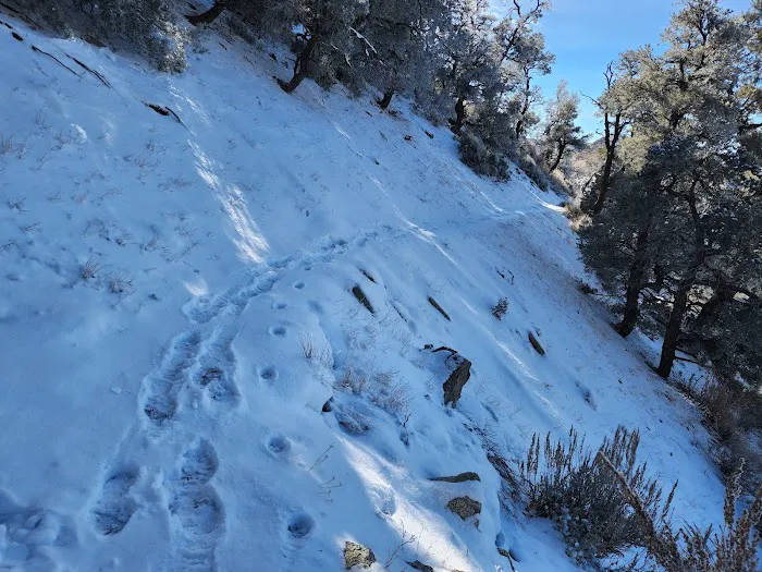 Walker Pass Campground Picture 9