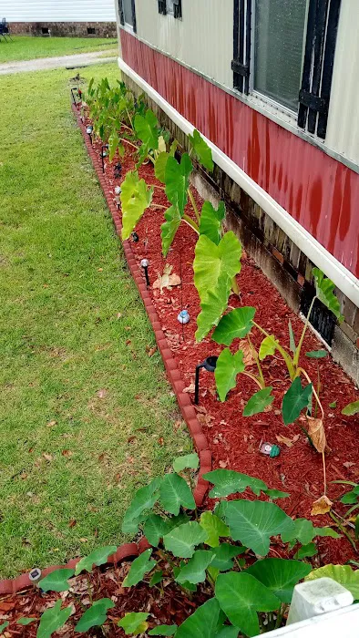 Lakeside Mobile Home Community Picture 1