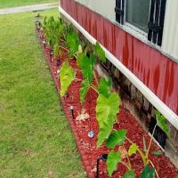 Lakeside Mobile Home Community ico