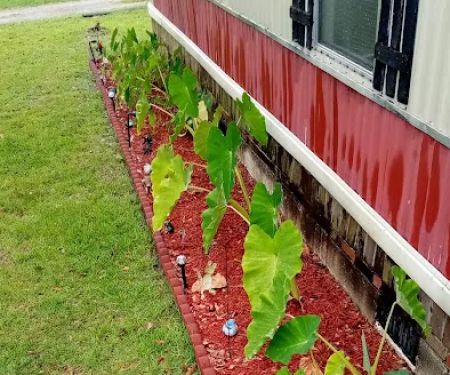 Lakeside Mobile Home Community