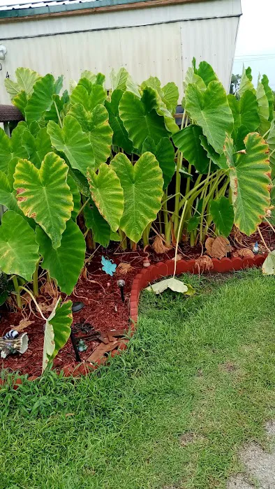 Lakeside Mobile Home Community Picture 3