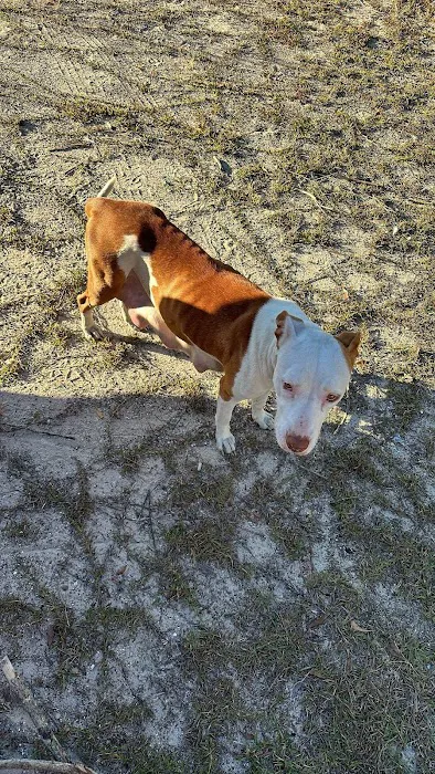 Sandy Ridge Mobile Home Park Picture 4