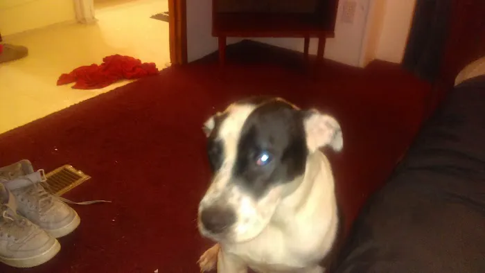 Sandy Ridge Mobile Home Park Picture 7