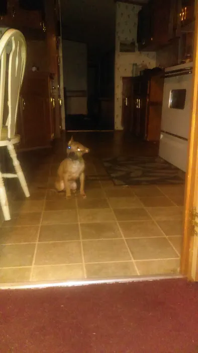 Sandy Ridge Mobile Home Park Picture 8