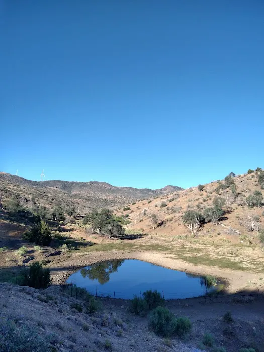 Chimney Creek Campground Picture 1