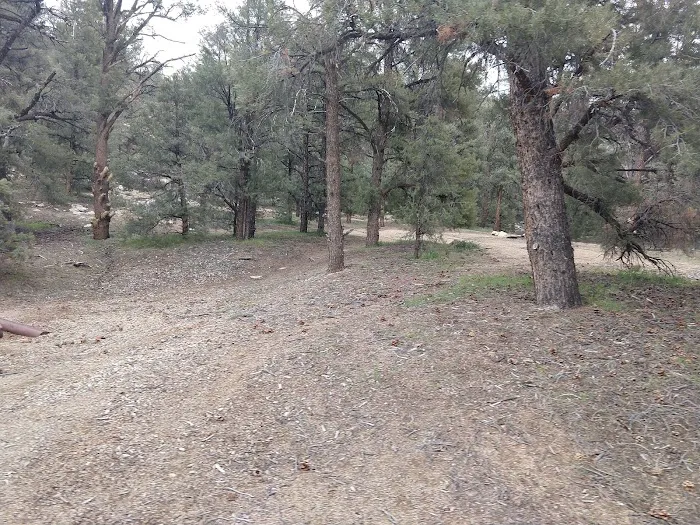 Chimney Creek Campground Picture 8