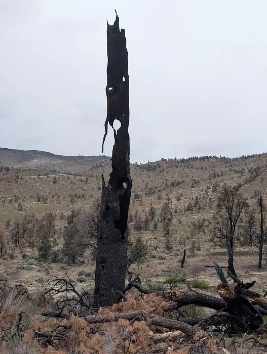 Long Valley Campground Picture 4