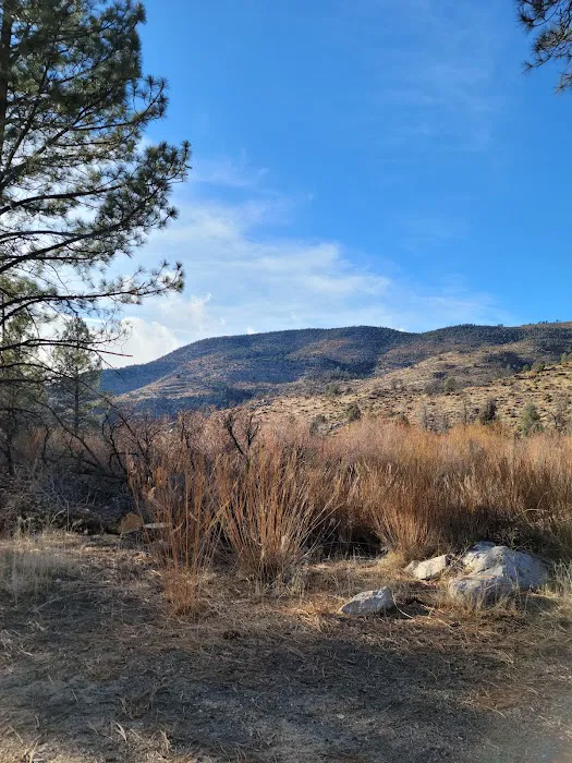 Long Valley Campground Picture 1
