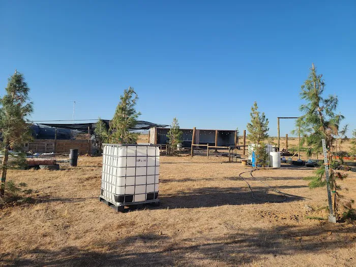 Fluffys Ranch Picture 2