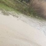 Bullock Mobile Home Park