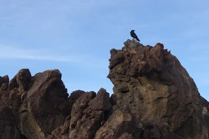 Fossil Falls Campgrounds Recreation Site Picture 5