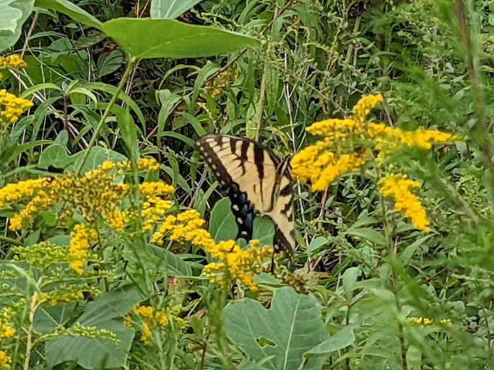 B and B RV park Picture 10