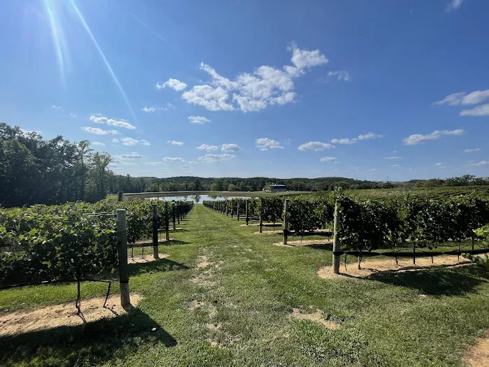 B and B RV park Picture 8