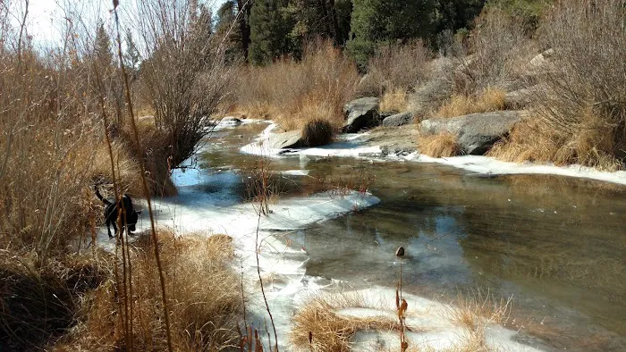 Kennedy Meadows Campground Picture 10