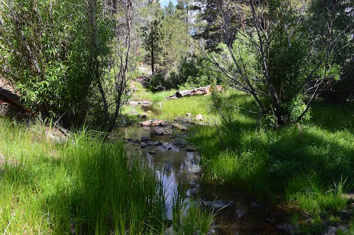 Fish Creek Campground Picture 2