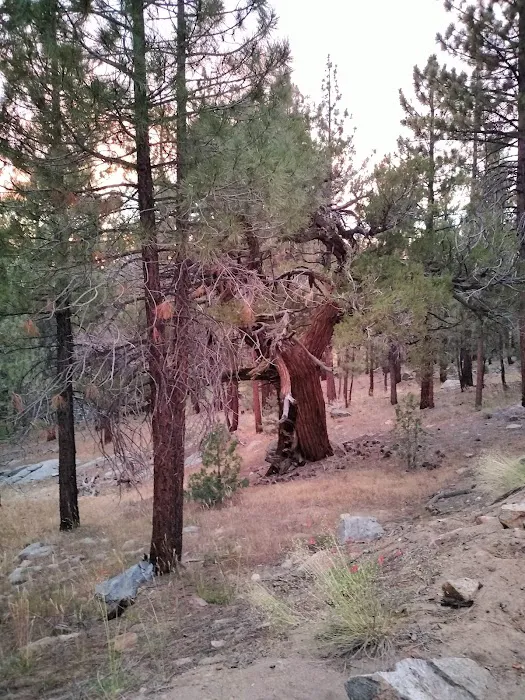 Fish Creek Campground Picture 9