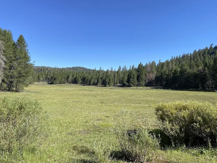 Fish Creek Campground Picture 4