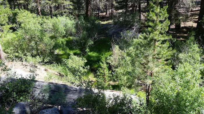 Fish Creek Campground Picture 7