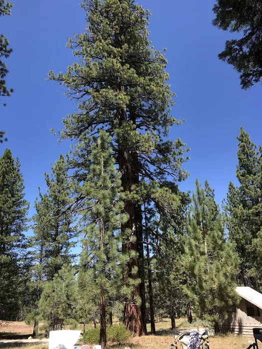 Troy Meadow Campground Picture 4