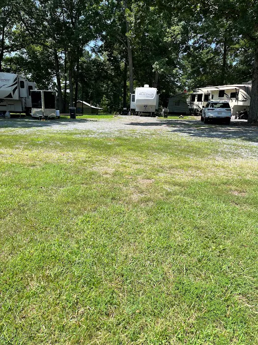 Cluster Springs RV Park Picture 4