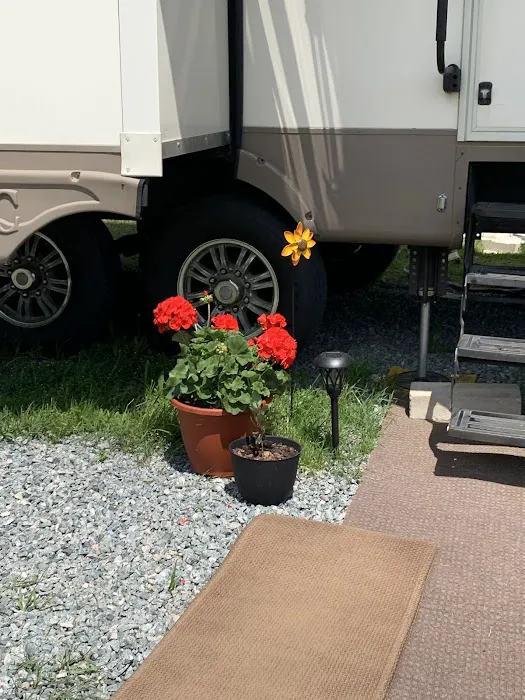Cluster Springs RV Park Picture 9