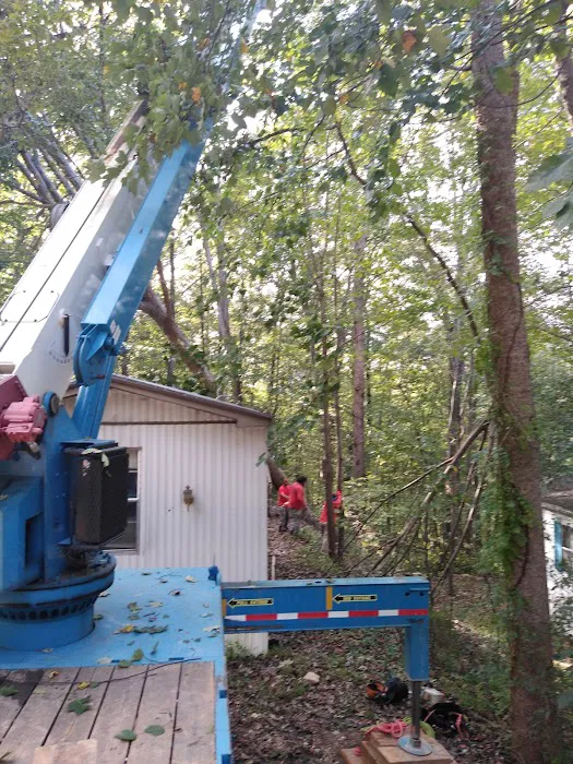 Nature Trail Mobile Home Community Picture 3