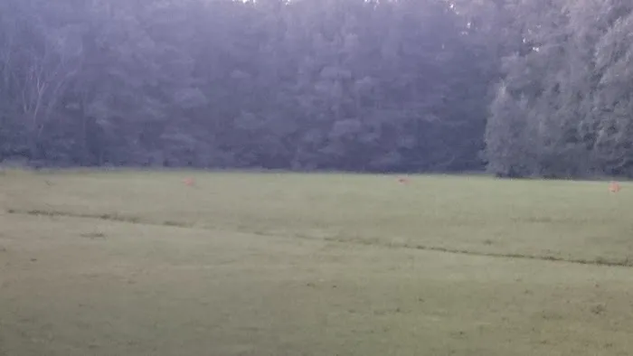 Nature Trail Mobile Home Community Picture 7