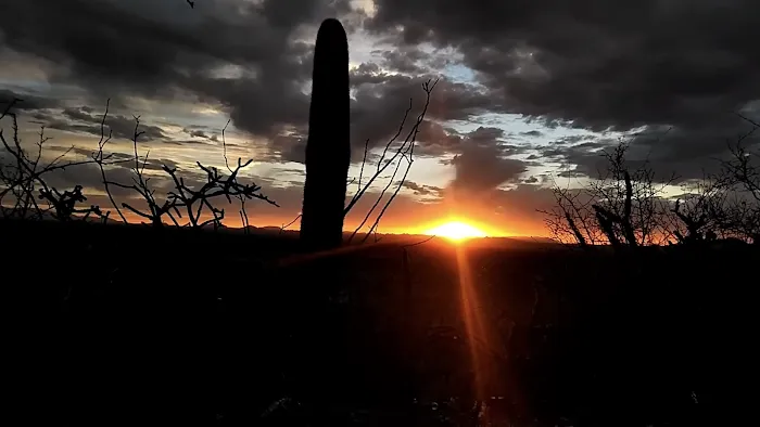 The Timbers Manufactured Home Community Picture 5