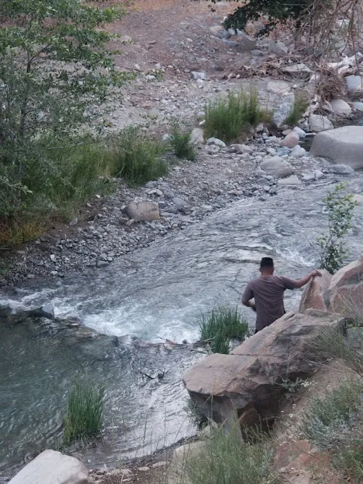 Sycamore Flat Campground Picture 3