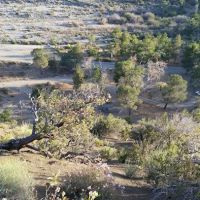 Sycamore Flat Campground ico