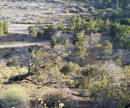 Sycamore Flat Campground