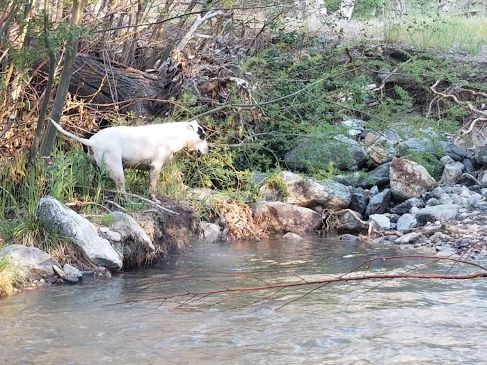 Sycamore Flat Campground Picture 6