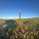 Magic Portal Stargazer’s Retreat