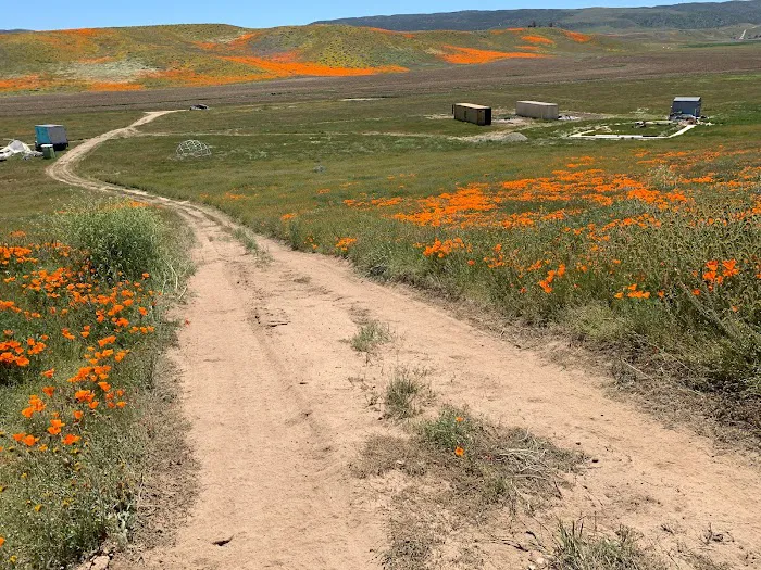 Exterior Field Picture 1