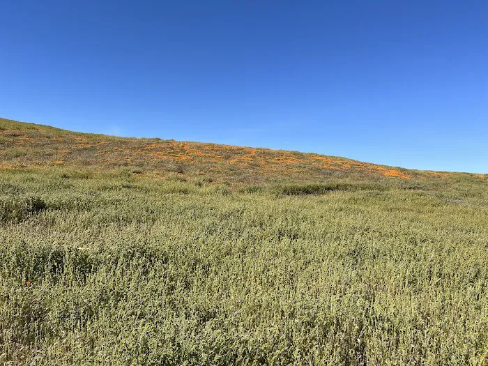 Exterior Field Picture 5