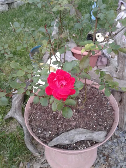 Jordan Dam RV Park Picture 9