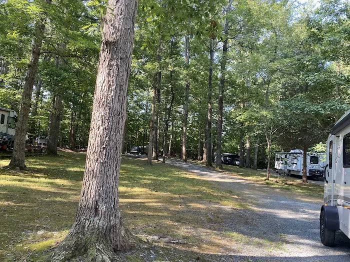 Springhill Park Picture 3