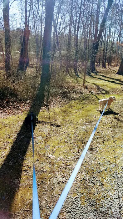 Springhill Park Picture 7