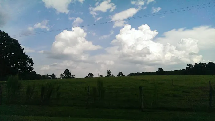 Springhill Park Picture 8