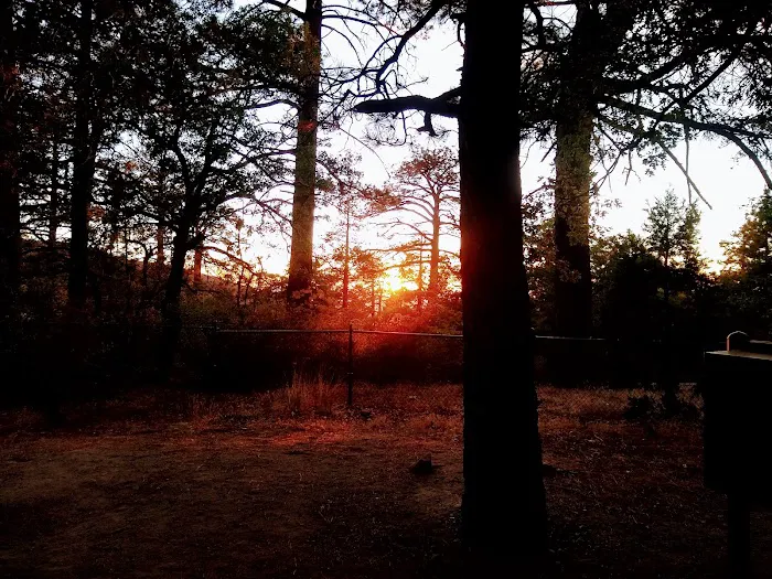 Mountain Oak Campground Picture 2