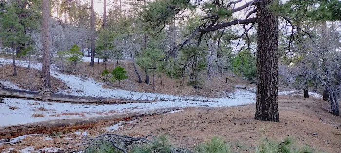 Mountain Oak Campground Picture 6