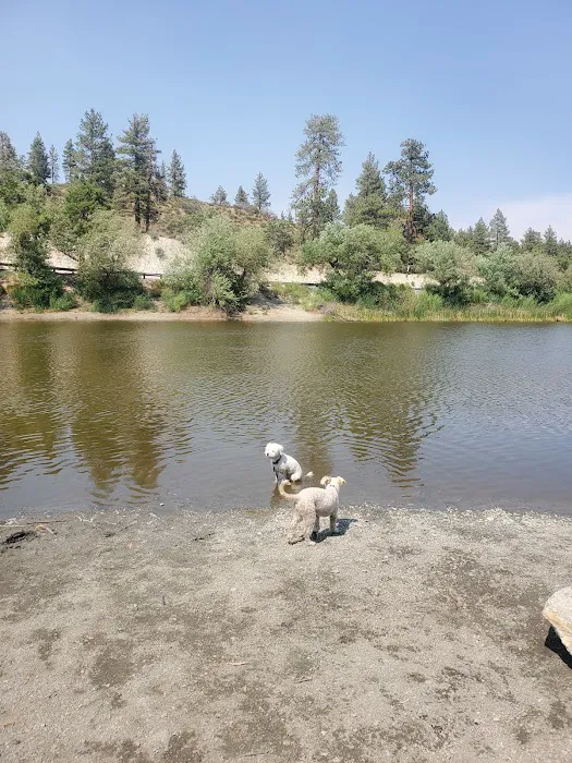 Mountain Oak Campground Picture 7