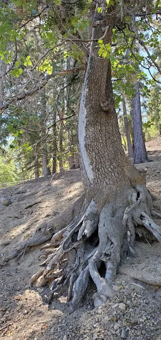 Lake Campground Picture 7