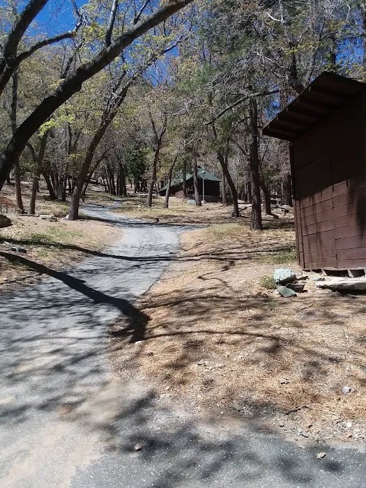Lions Camp at Wrightwood Picture 3