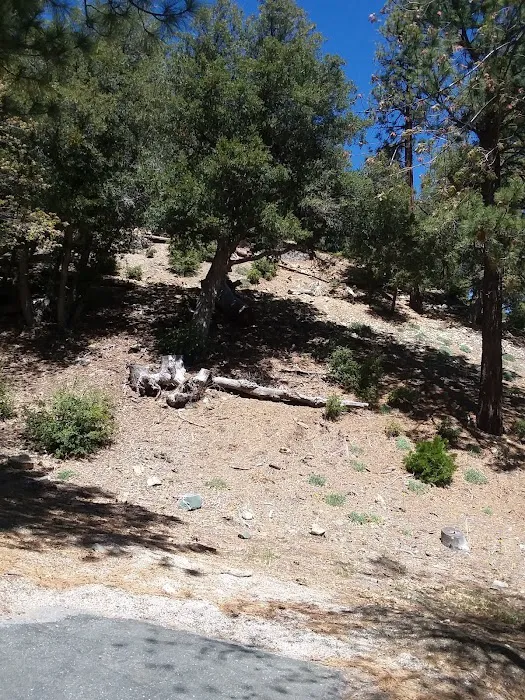 Lions Camp at Wrightwood Picture 6