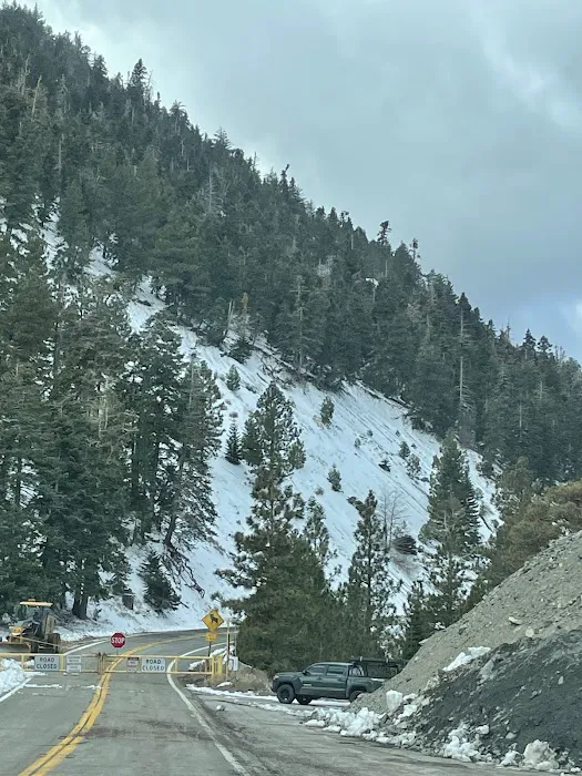 Lions Camp at Wrightwood Picture 2