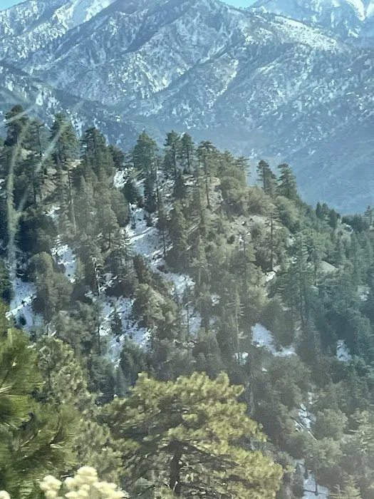 Lions Camp at Wrightwood Picture 4