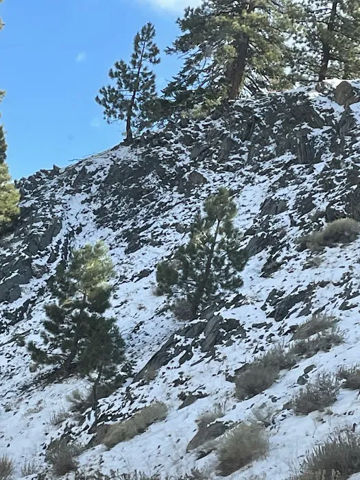 Lions Camp at Wrightwood Picture 7